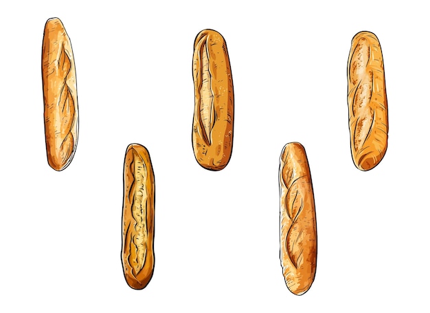 Plik wektorowy ilustracja wektora baguette wyizolowana na białym tle