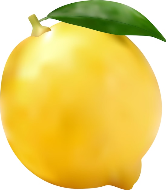 Ilustracja wektora cytrynowego