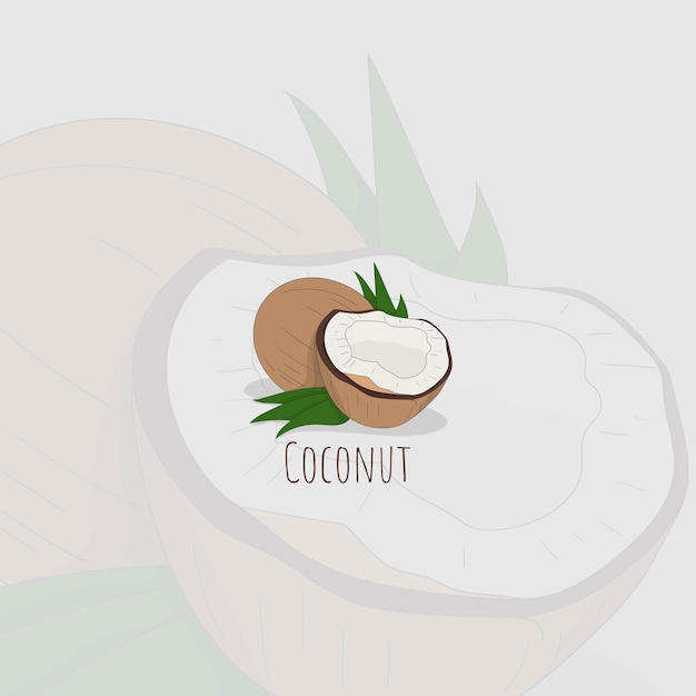 Plik wektorowy ilustracja wektora kokosowego z projektem liścia kokosowego dla projektu szablonu tła restauracji