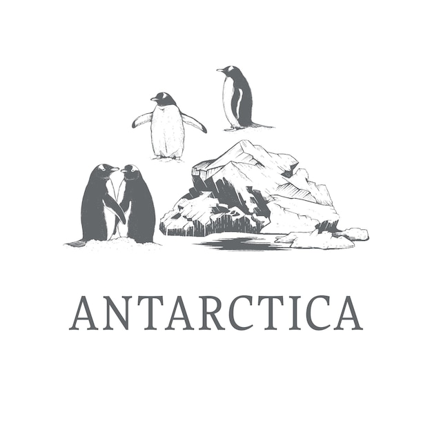 Plik wektorowy ilustracja wektorowa antarktydy.