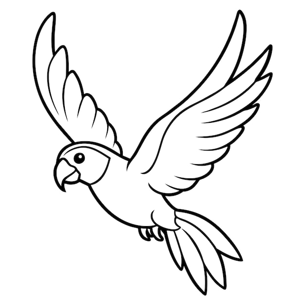 Ilustracja wektorowa do kolorowania ptaków 67