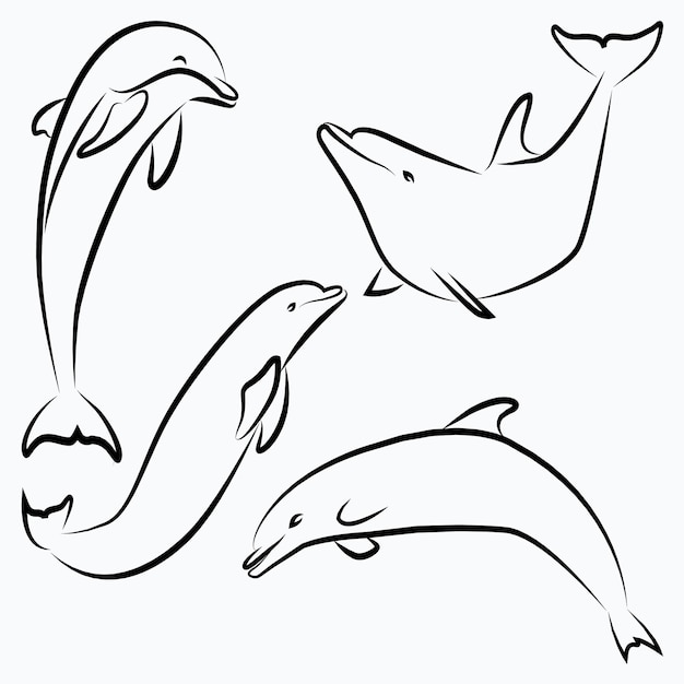 Ilustracja Wektorowa Dolphin Line Art Sketch