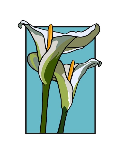 Plik wektorowy ilustracja wektorowa dwóch kwiatów calla lily