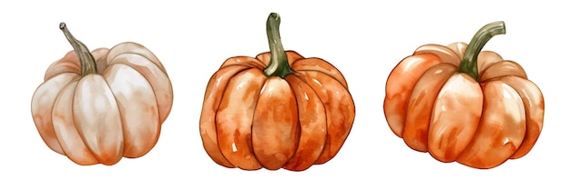 Ilustracja wektorowa dyni w stylu akwarelu