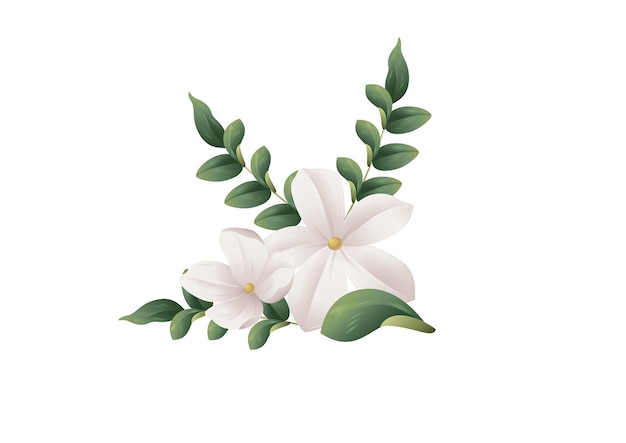 Plik wektorowy ilustracja wektorowa gałęzi kwitnących białych kwiatów jasminu