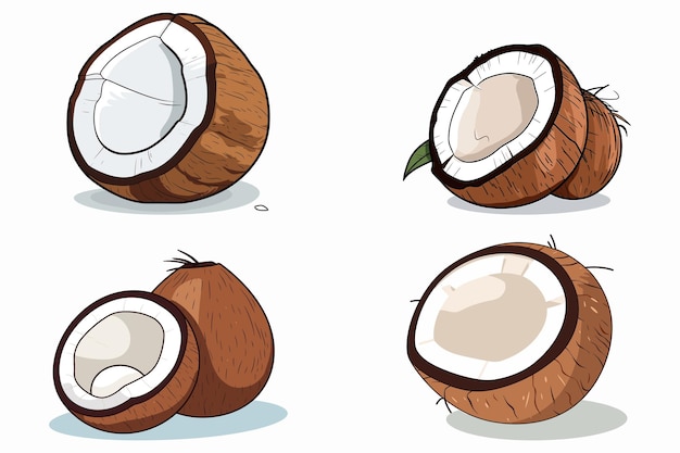 ilustracja wektorowa kokosa z kreskówki