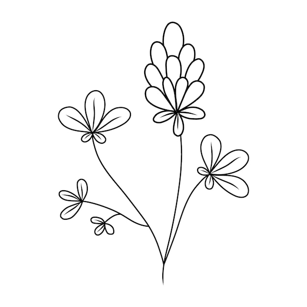 Plik wektorowy ilustracja wektorowa koniczyny z liśćmi w stylu doodle na białym tle