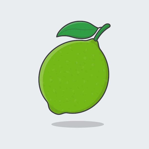 Ilustracja Wektorowa Kreskówka Owoce Limonki Świeże Owoce Limonki Płaskie Ikona Kontur