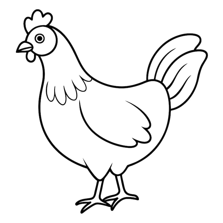 Wektor ilustracja wektorowa kurczaka