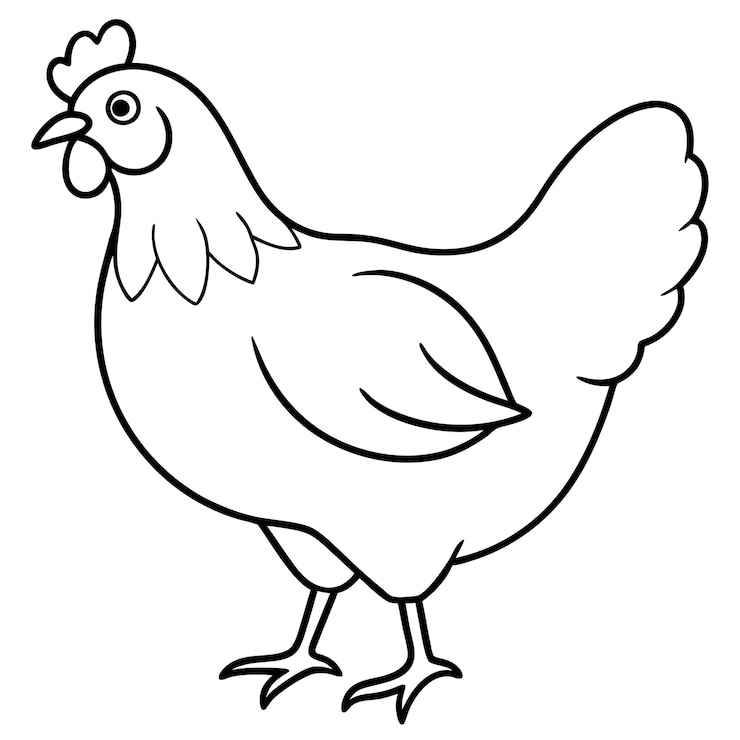 Wektor ilustracja wektorowa kurczaka