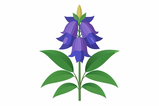Ilustracja Wektorowa Kwiatów Monkshood