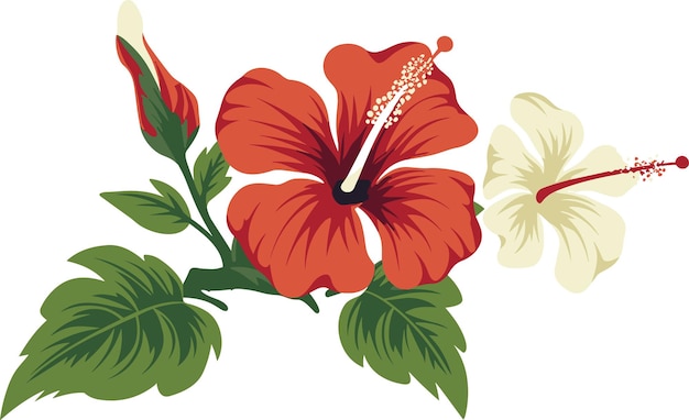 ilustracja wektorowa kwiatu hibiskusa do logo, tatuaży, naklejek i dekoracji ściennych