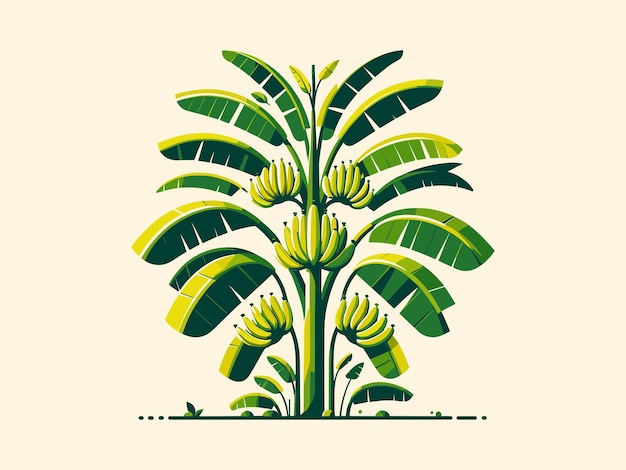 Plik wektorowy ilustracja wektorowa logo drzewa bananowego