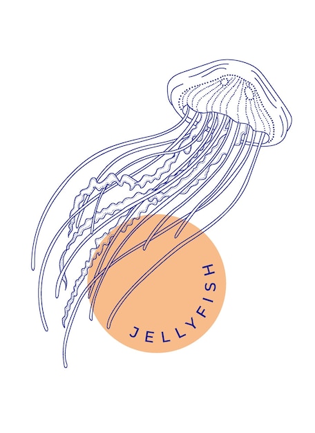 Plik wektorowy ilustracja wektorowa meduzy. izolowany rysunek na białym tle
