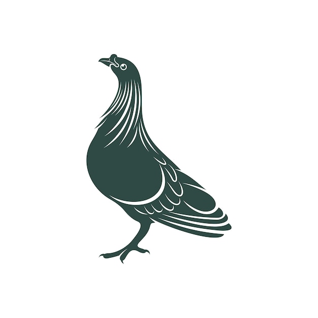 Ilustracja wektorowa projektu gołębia Nicobar Gołąb Nicobar Sylwetka szablon projektu ptaka