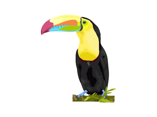 Ilustracja wektorowa ptak Tukan stępkowy