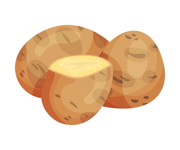 Ilustracja wektorowa surowego nieoschłego ziemniaka do przygotowania gnocchi