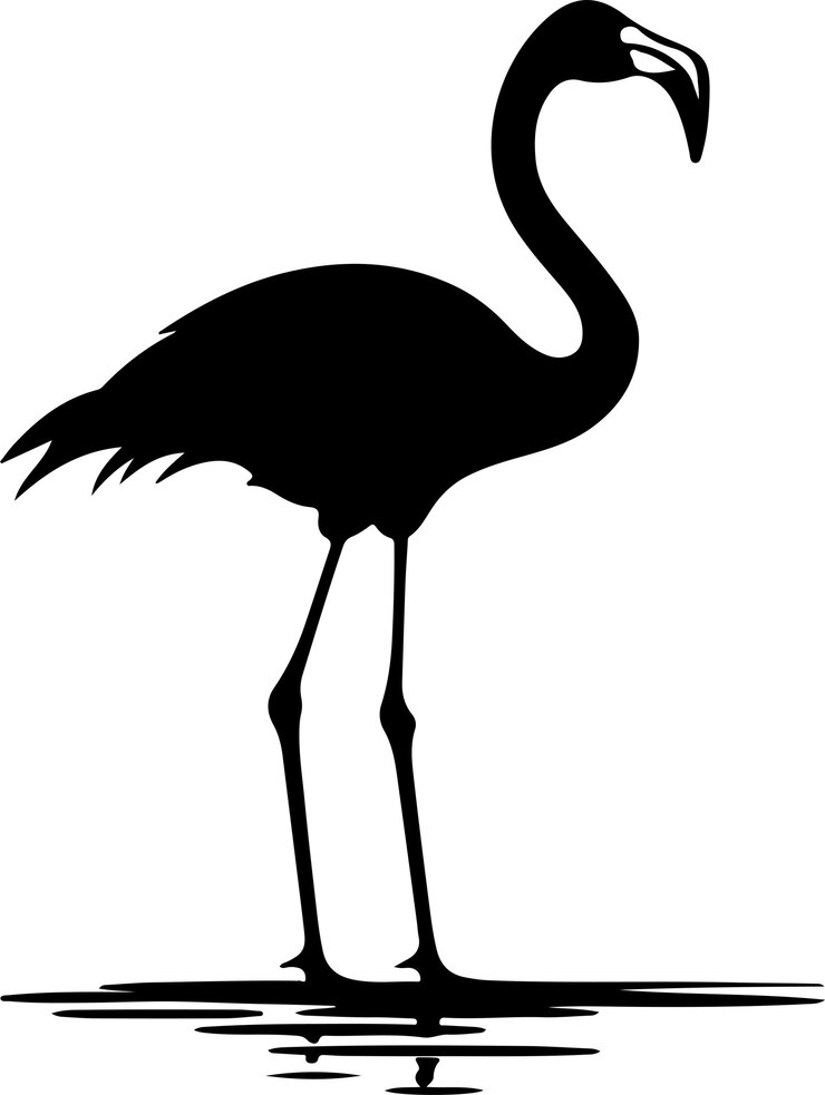 Wektor ilustracja wektorowa sylwetki flaminga białe tło