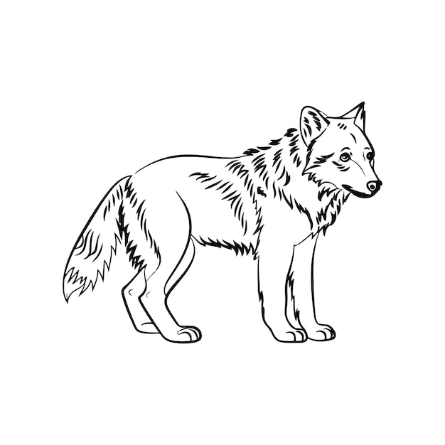 Ilustracja wektorowa wilka dla koszulki