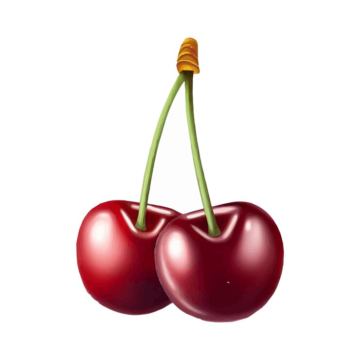 Ilustracja wektorowa wiśni
