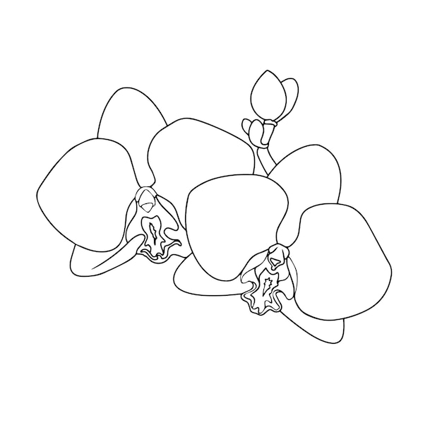 Ilustracja wektorowa z wolnej ręki Jasne realistyczne żółte orchidei Puste miejsce dla projektanta pocztówka odcisk