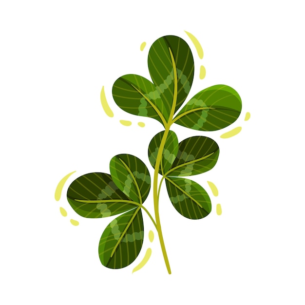 Plik wektorowy ilustracja wektorowa zielonej koniczyny ze trzydziornikowymi liśćmi