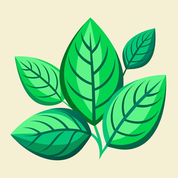 Ilustracja wektorowa zielonych liści