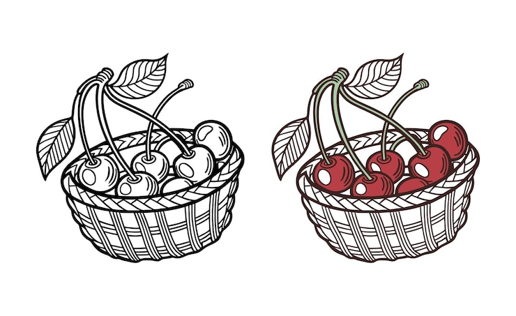 Wektor ilustracja wiśni w koszyku