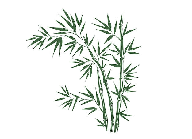 Ilustracja z bambusa