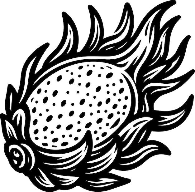 Plik wektorowy ilustracja z czarnym konturem z owocem smoka pitaya książka do malowania