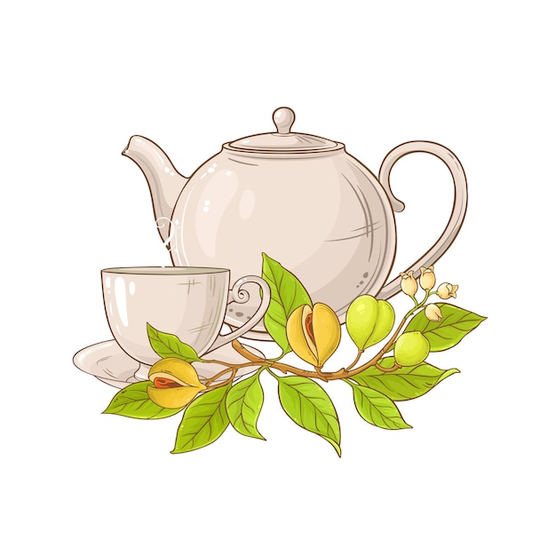 Plik wektorowy ilustracja z herbatą z orzechów muszkatowych