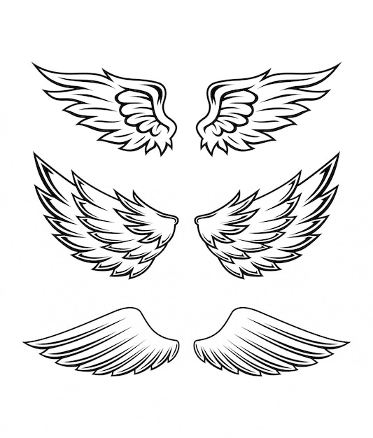 Plik wektorowy ilustracja zestaw kolekcja skrzydła