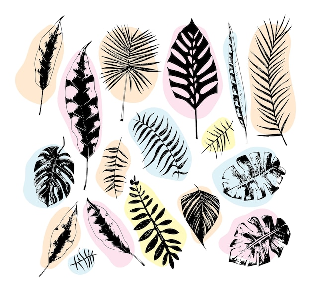 Ilustracja zestaw tropikalnych roślin i liści ręcznie rysowane szkic konspektu stylu