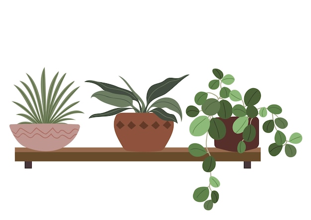 Ilustracja zestawu roślin i drzew odmianowych
