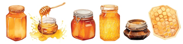 Ilustracje pszczelarskie Pszczoły miodowe