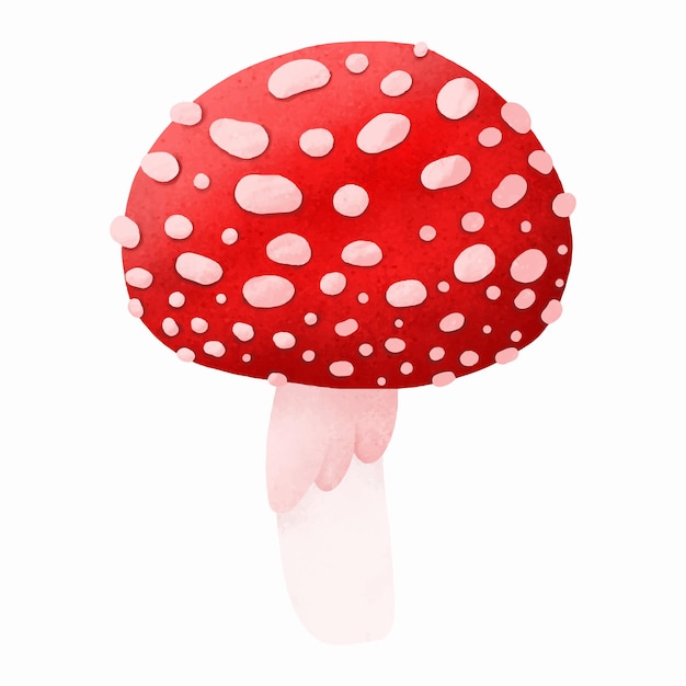 Ilustracje wektorowe grzyb na białym tle