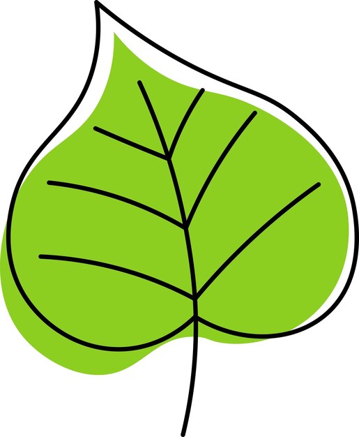 Ilustracje z liściami botanicznymi dodają do wzorów odrobinę zieleni