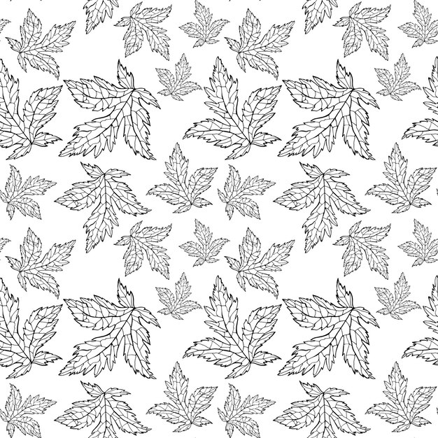 Ilustracji wektorowych wzorca botanicznego Odosobnione liście pelargonii łąkowej na białym tle