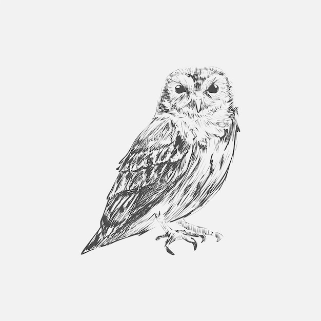 Ilustracyjny rysunkowy styl sowa