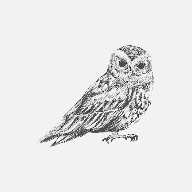 Ilustracyjny rysunkowy styl sowa