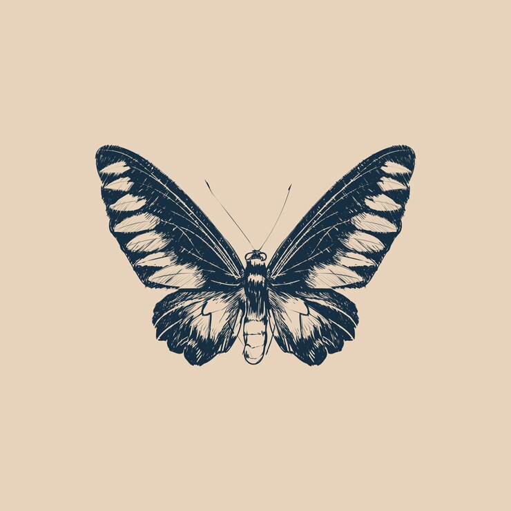 Wektor ilustracyjny rysunku styl motyl