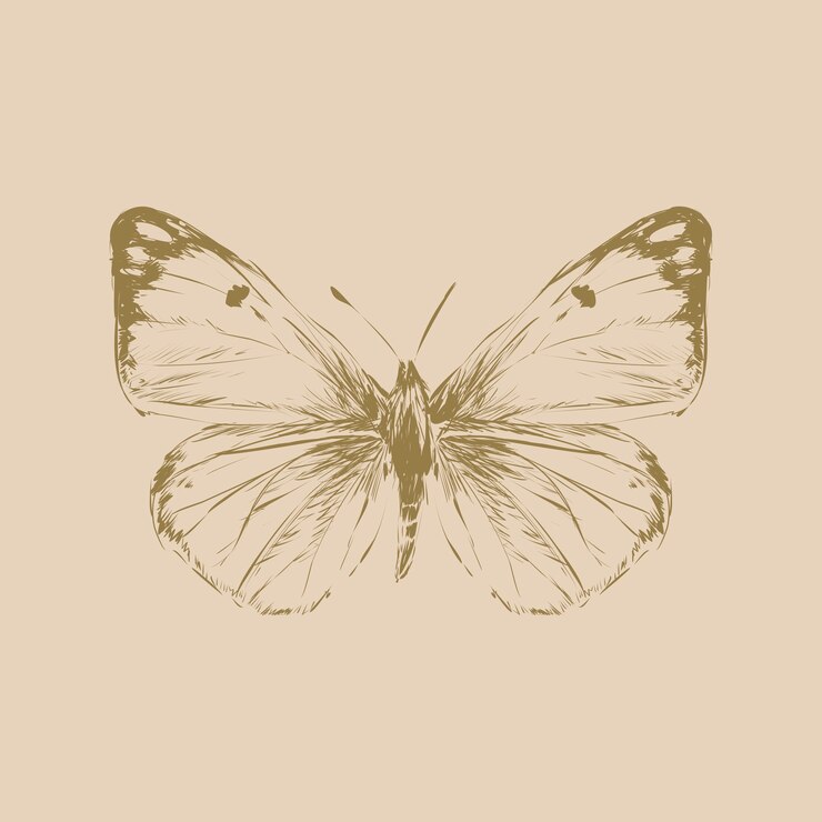 Wektor ilustracyjny rysunku styl motyl