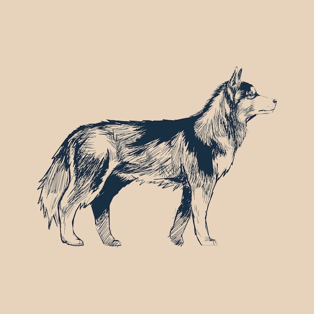 Plik wektorowy ilustracyjny rysunku styl pies