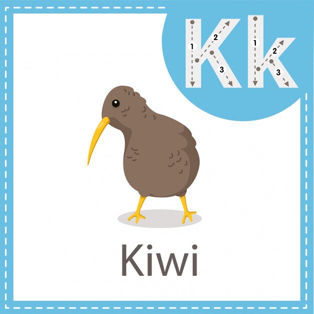 Plik wektorowy ilustrator kiwi ptak