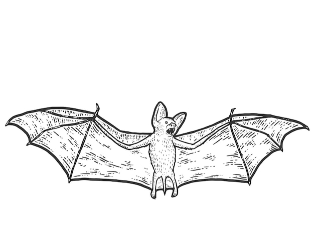 Imitacja Drapaka Microbat Sketch Czarno-biała