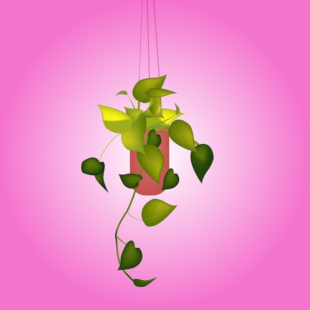 Indoor Plant Pathos Hanging Ilustracja Projektowa