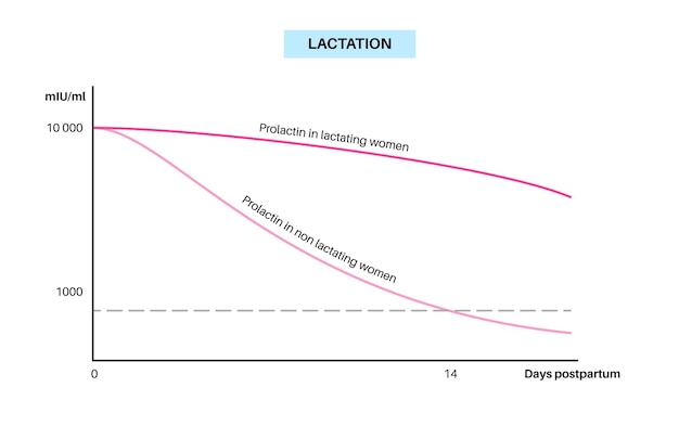 Infografika Laktacji Poziom Prolaktyny W Organizmie Kobiety Zmiany Hormonalne W Dniach Poporodowych Produkcja Mleka W Organizmie Kobiety Infografika Wykres Wartości Maksymalnych I Minimalnych Ilustracja Wektorowa