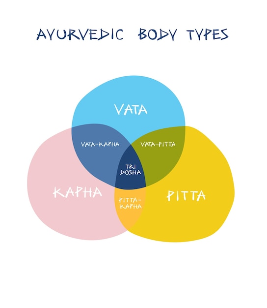 Plik wektorowy infografika o ajurwedycznych typach ciała