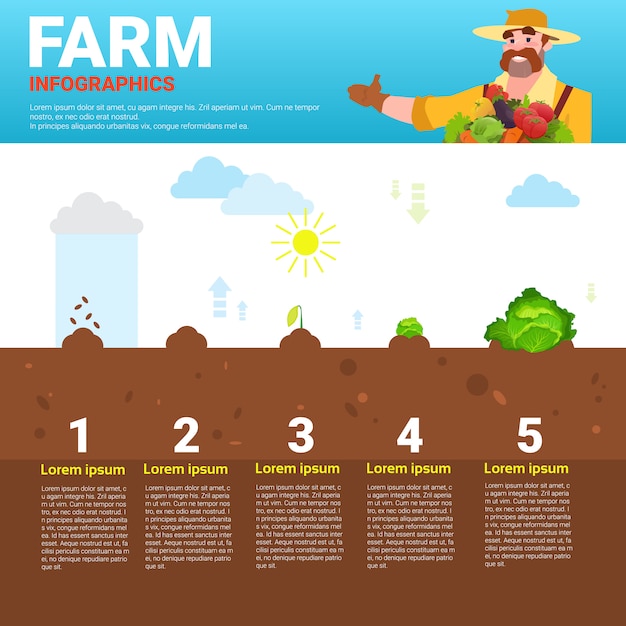 Infografika Rolnicza Przyjazna Dla środowiska Organiczna Naturalna Roślina Warzywna Wytwórnia Produkcji Rolnej