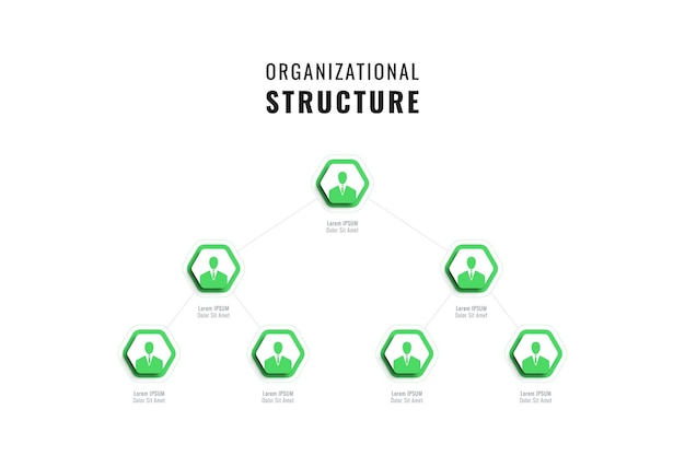 Infografika Szablon Struktury Firmy Z Zielonymi Sześciokątnymi Elementami Na Białym Tle